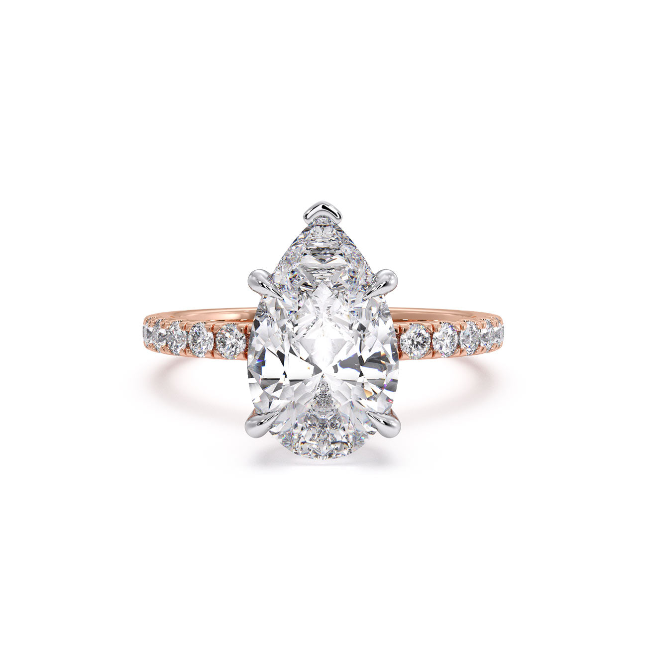 Sophina - Pavé W/ Hidden Halo