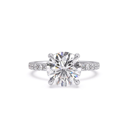 Sophina - Pavé W/ Hidden Halo