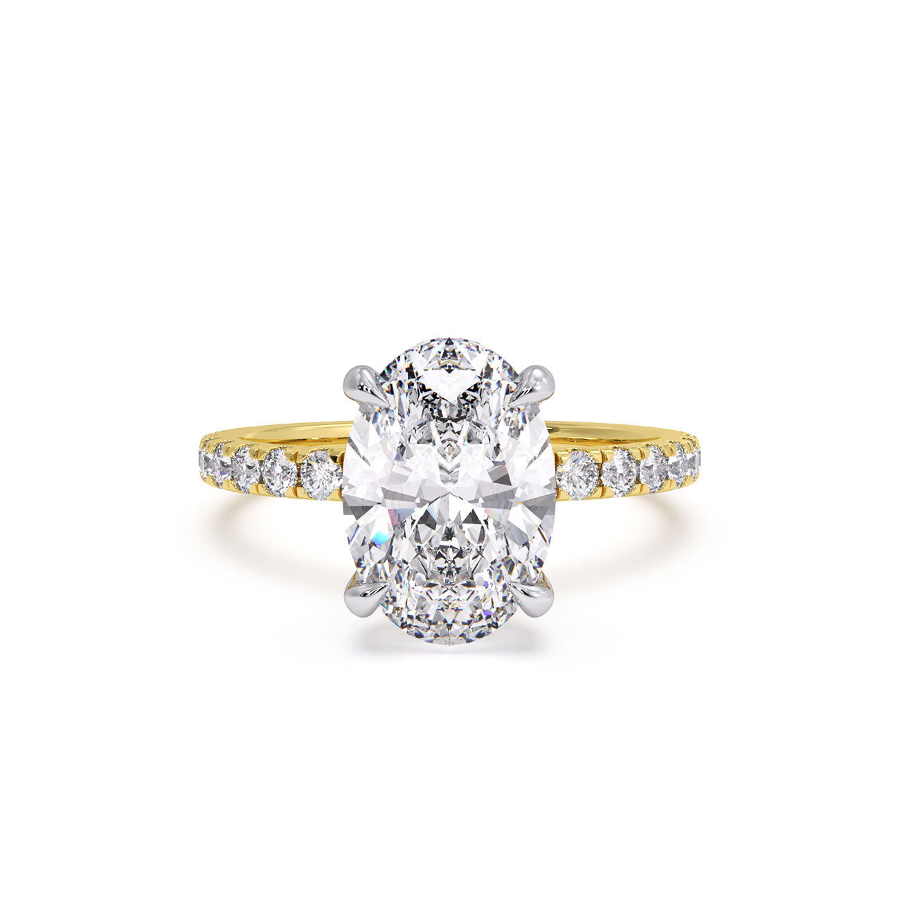 Sophina - Pavé W/ Hidden Halo