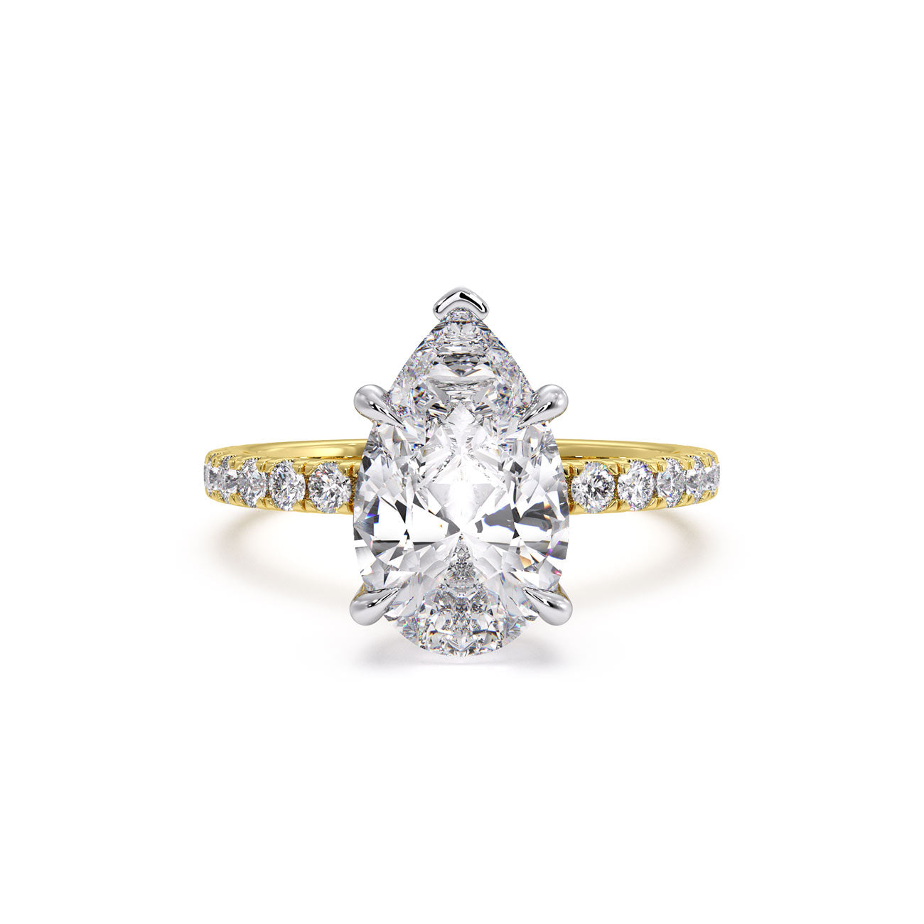 Sophina - Pavé W/ Hidden Halo