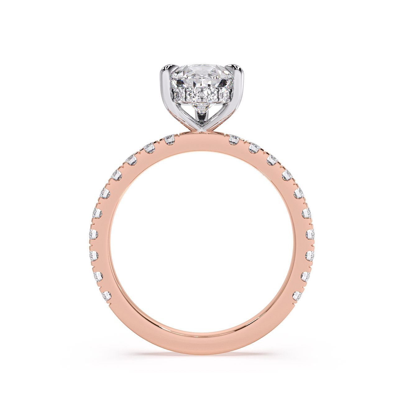 Sophina - Pavé W/ Hidden Halo