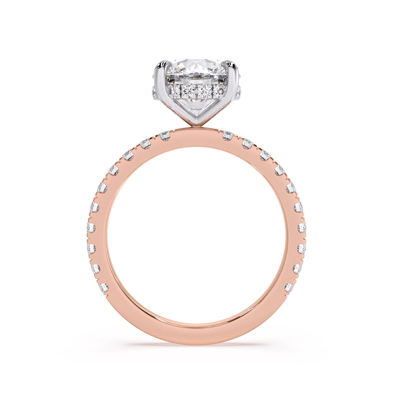 Sophina - Pavé W/ Hidden Halo