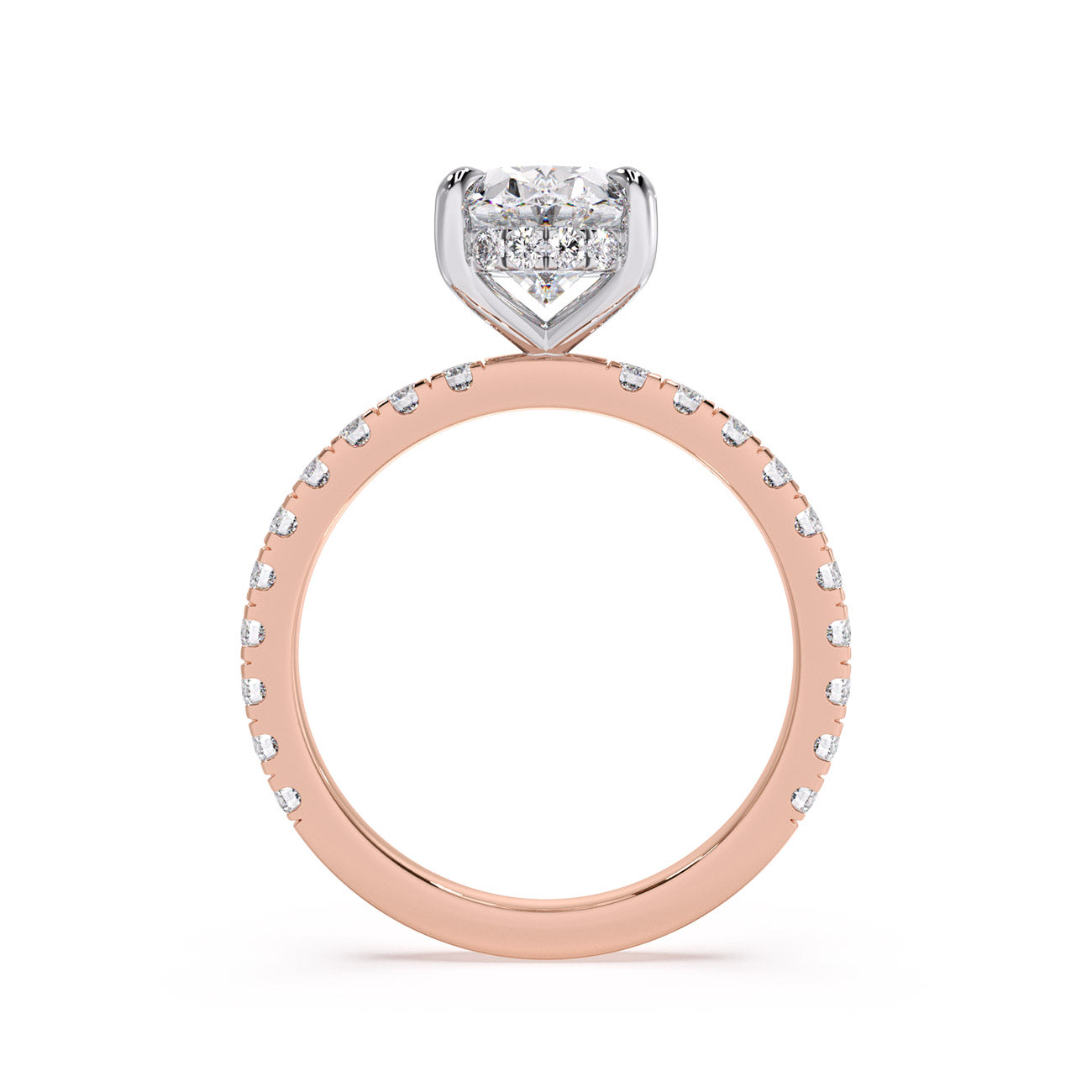 Sophina - Pavé W/ Hidden Halo