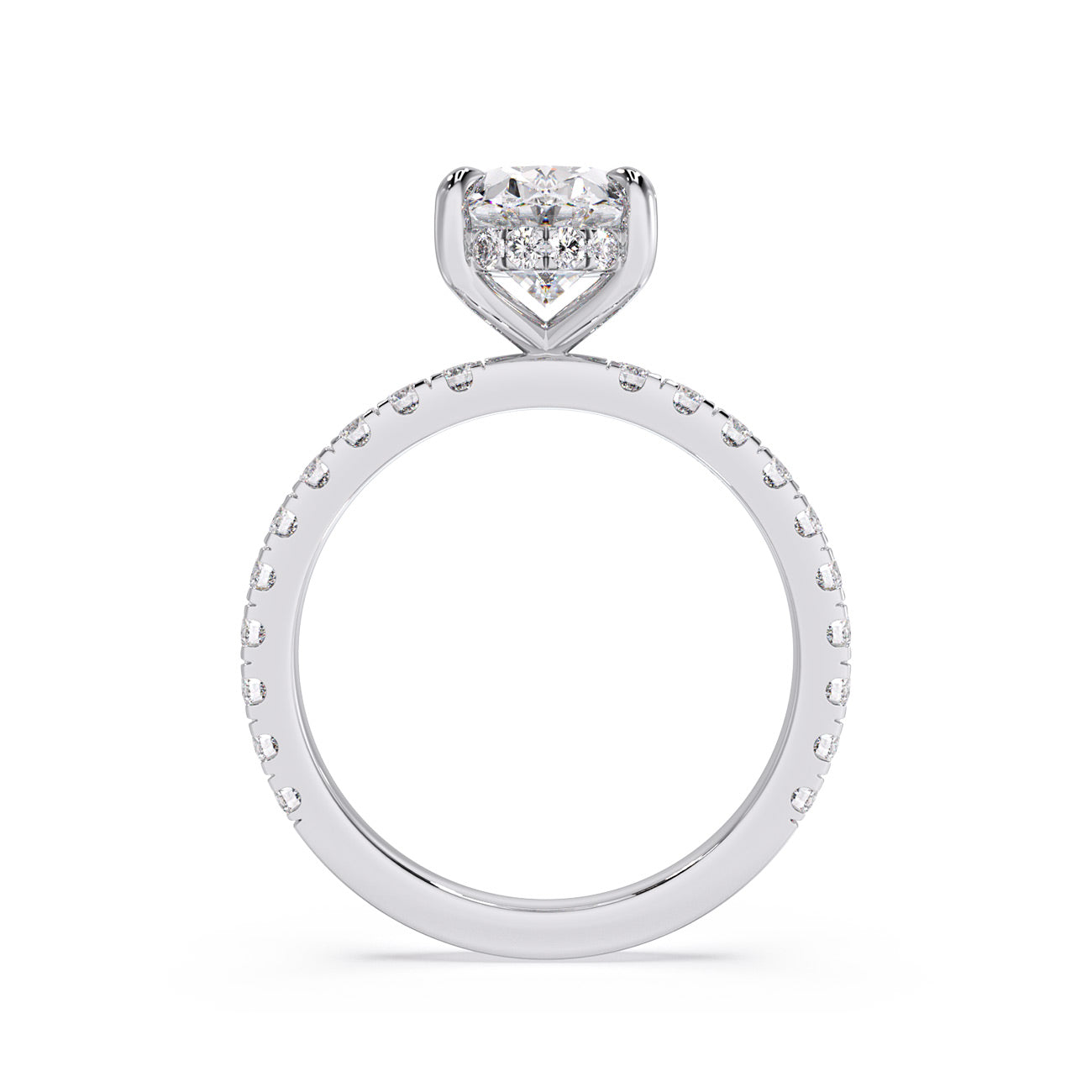 Sophina - Pavé W/ Hidden Halo