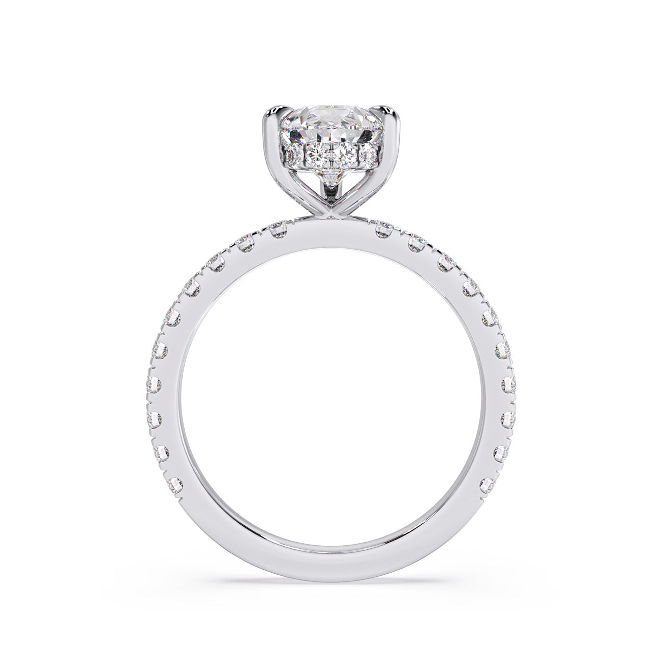 Sophina - Pavé W/ Hidden Halo