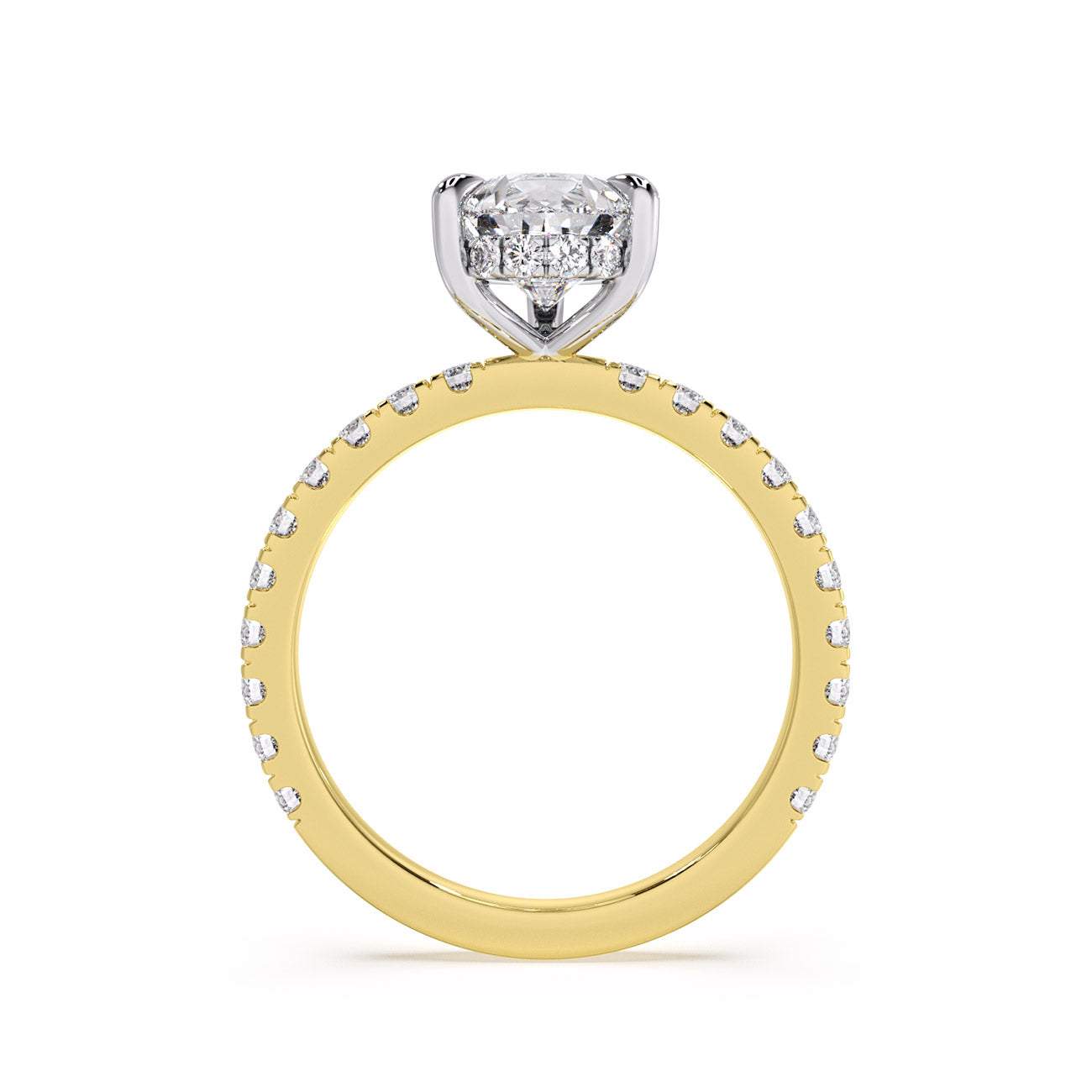 Sophina - Pavé W/ Hidden Halo