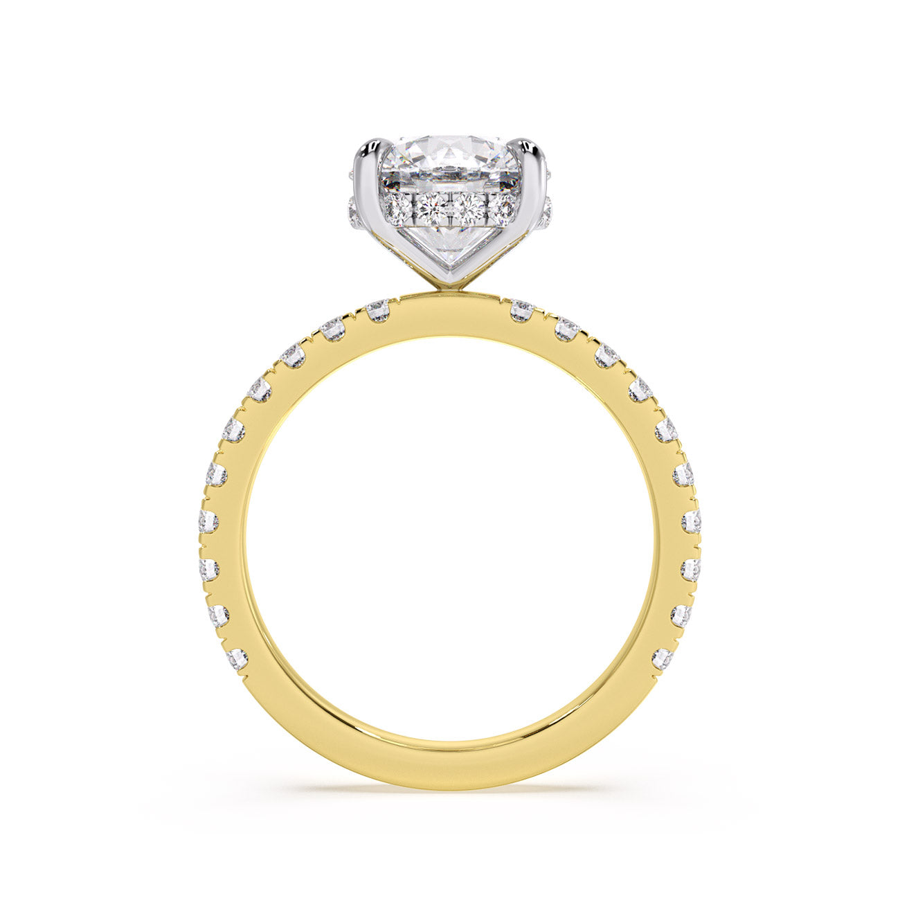 Sophina - Pavé W/ Hidden Halo