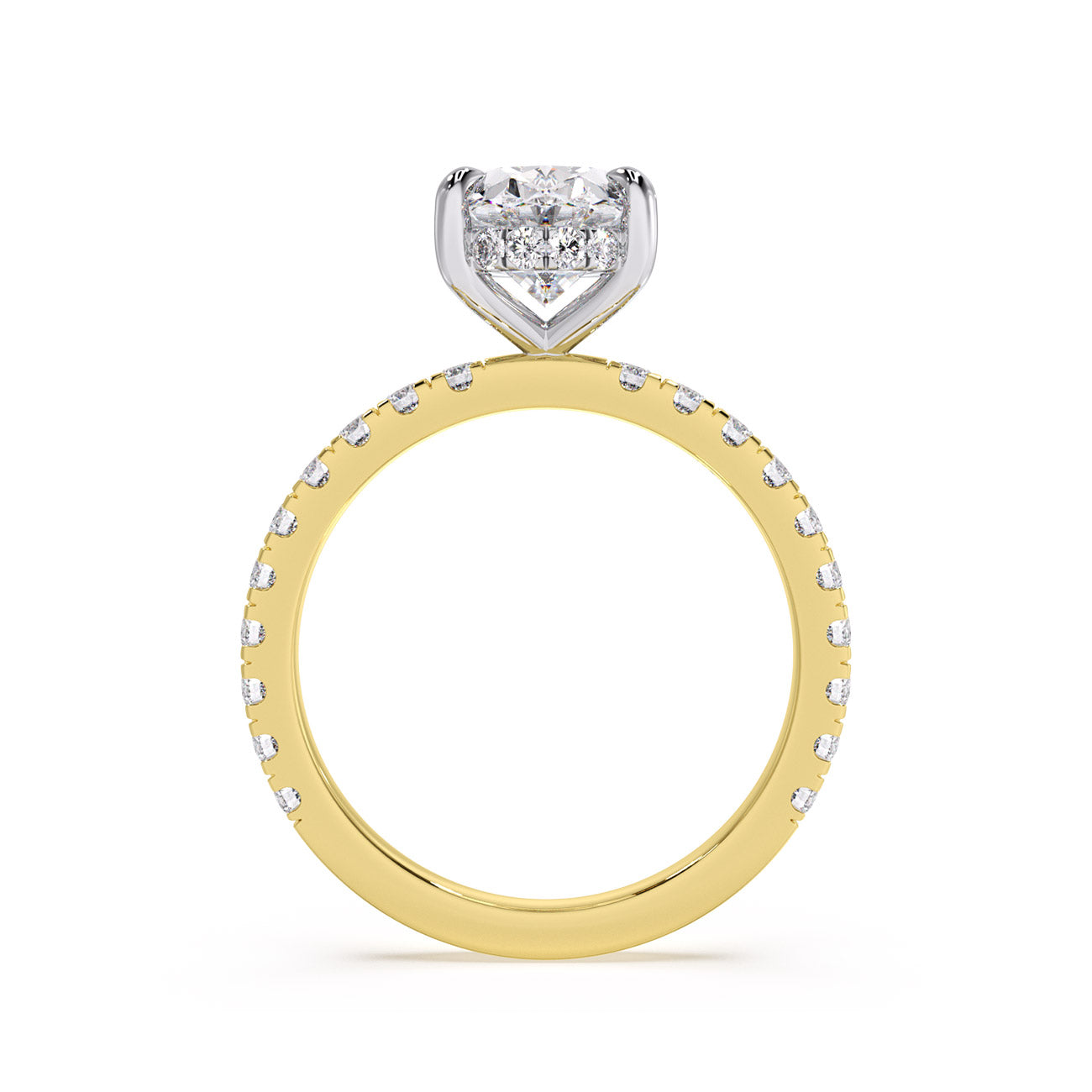 Sophina - Pavé W/ Hidden Halo