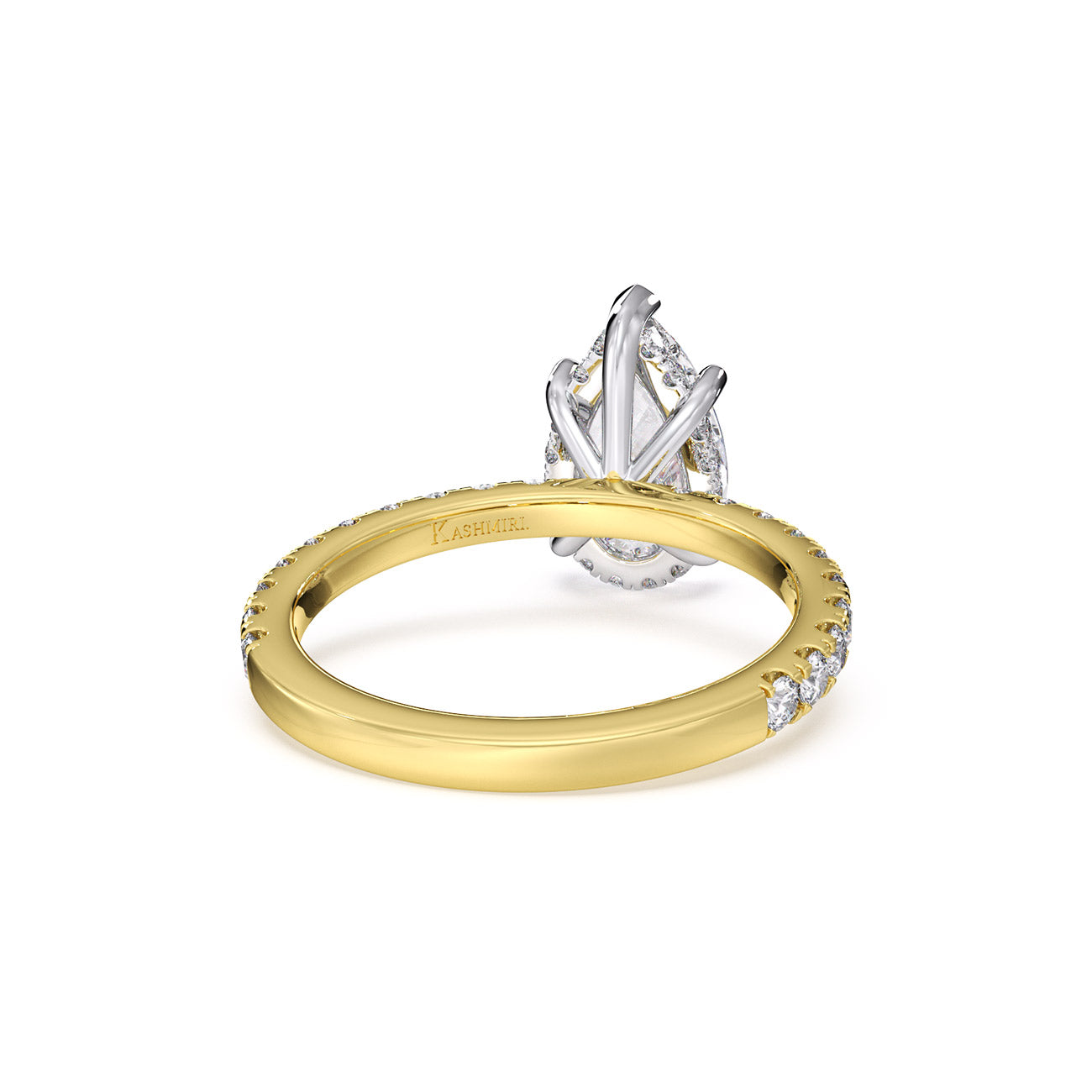 Sophina - Pavé W/ Hidden Halo