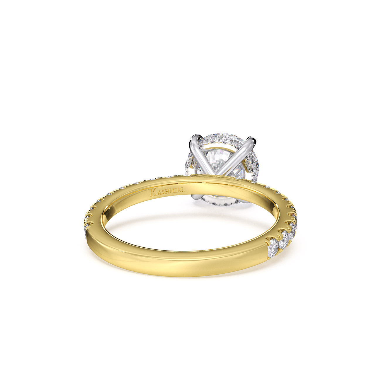 Sophina - Pavé W/ Hidden Halo