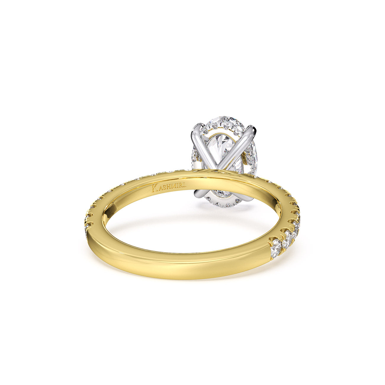 Sophina - Pavé W/ Hidden Halo